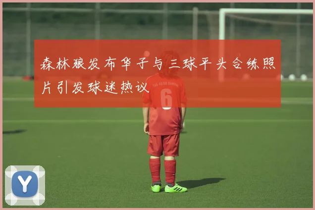 森林狼发布华子与三球平头合练照片引发球迷热议