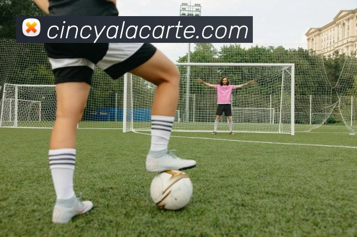 企业概况